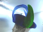 blue hat green feather good c